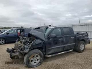 2005 Dodge Dakota SLT с VIN 1D7HW48N25S309897, выставлен на аукционе Copart как лот 85091255 с пробегом 145 144 миль миль и Списание • Salvage title. История ставок и продаж доступна на DreamBid. Изображение 1.