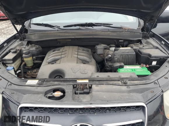 ✅ 2008 Hyundai Santa Fe SE • VIN: 5NMSH13E48H217156 • Lot: 81866104. Listed on Copart with 190,677 mi. Free auction sales archive from the USA and detailed vehicle history report at DreamBid. Image 12.