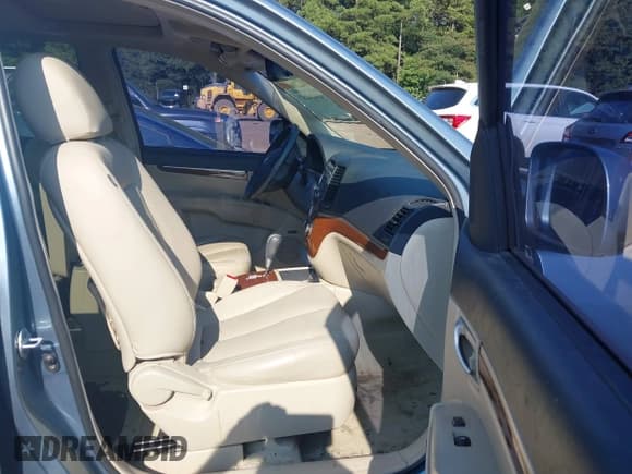 ✅ 2009 Hyundai Santa Fe SE • VIN: 5NMSH13E09H304005 • Lot: 43024287. Listed on IAAI with 153,828 mi. Free auction sales archive from the USA and detailed vehicle history report at DreamBid. Image 5.