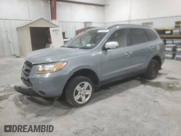 ✅ 2009 Hyundai Santa Fe GLS • VIN: 5NMSG13D29H256596 • Lot: 87935605. Listed on Copart with 185,075 mi. Free auction sales archive from the USA and detailed vehicle history report at DreamBid. Image 1.