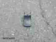 2014 Mitsubishi Outlander SE с VIN JA4AD3A31EZ013890, выставлен на аукционе Copart как лот 80762725 с пробегом 195 474 миль миль и Списание • Salvage title. История ставок и продаж доступна на DreamBid. Изображение 13.