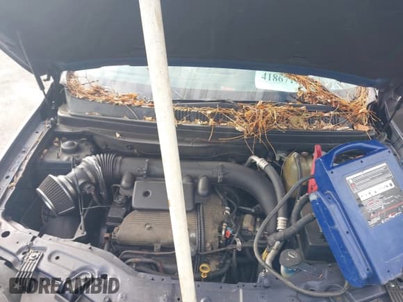 ✅ 2009 Saturn VUE XE • VIN: 3GSDL43N99S542876 • Lot: 41867121. Listed on IAAI with Not provided. Free auction sales archive from the USA and detailed vehicle history report at DreamBid. Image 10.