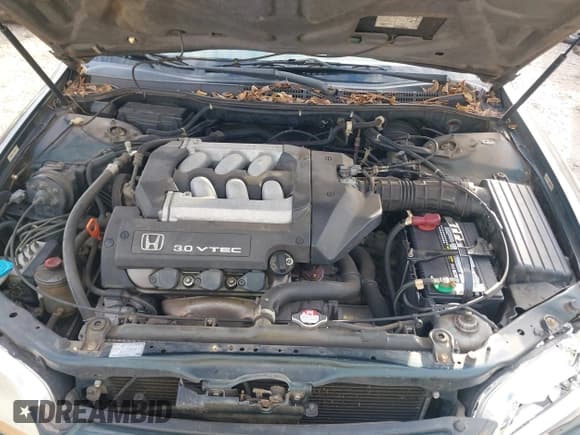 ✅ 2001 Honda Accord EX • VIN: 1HGCG16571A032247 • Лот: 43701729. Опубликован ранее на IAAI с пробегом 259 312 миль. Бесплатный доступ к архиву аукционных продаж из США и подробный отчёт об истории автомобиля на DreamBid. Изображение 10.