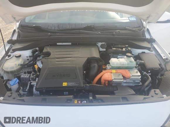 ✅ 2019 Hyundai Ioniq Limited • VIN: KMHC05LCXKU116510 • Lot: 44038875. Wystawiony na Copart z przebiegiem 53 623 mil. Bezpłatny archiwum sprzedaży aukcyjnych z USA i szczegółowy raport historii pojazdu na DreamBid. Zdjęcie 12.