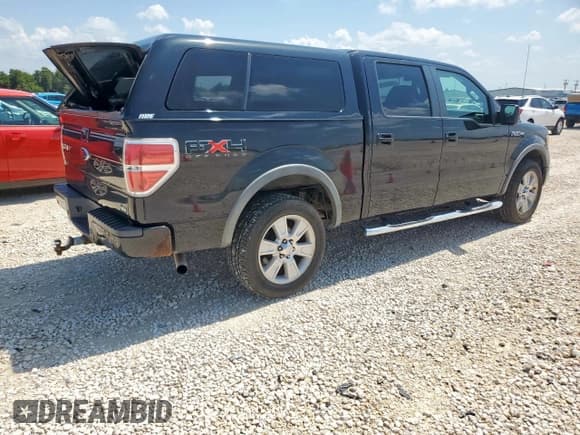 ✅ 2010 Ford F-150 XL • VIN: 1FTFW1EV9AFB37245 • Lot: 60594315. Wystawiony na Copart z przebiegiem 131 972 mil. Bezpłatny archiwum sprzedaży aukcyjnych z USA i szczegółowy raport historii pojazdu na DreamBid. Zdjęcie 3.
