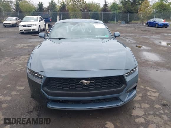 ✅ 2024 Ford Mustang EcoBoost Premium • VIN: 1FA6P8TH5R5147149 • Lot: 43300846. Listed on IAAI with 17,425 mi. Free auction sales archive from the USA and detailed vehicle history report at DreamBid. Image 12.