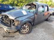 ✅ 2013 Ford F-150 XL • VIN: 1FTFW1EF7DFD95163 • Лот: 42848557. Опубликован ранее на IAAI с пробегом Не указан. Бесплатный доступ к архиву аукционных продаж из США и подробный отчёт об истории автомобиля на DreamBid. Изображение 17.