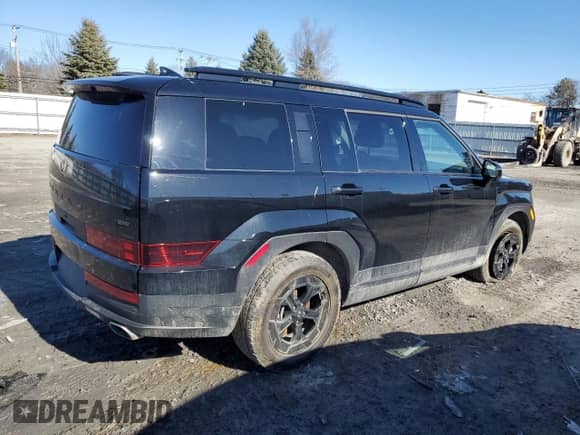2024 Hyundai Santa Fe XRT with VIN 5NMP3DGL8RH016117, listed as a Copart auction lot 48553205 with 19,162 mi miles and Salvage title. Bid and sale history available at DreamBid. Image 3.