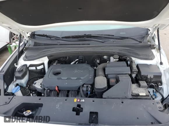 ✅ 2019 Hyundai Santa Fe Ultimate • VIN: 5NMS53AD6KH086415 • Lot: 46328353. Wystawiony na Copart z przebiegiem 44 301 mil. Bezpłatny archiwum sprzedaży aukcyjnych z USA i szczegółowy raport historii pojazdu na DreamBid. Zdjęcie 12.