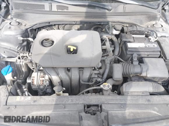 ✅ 2021 Kia Forte LXS • VIN: 3KPF24AD8ME332004 • Lot: 42069968. Wystawiony na IAAI z przebiegiem 74 758 mil. Bezpłatny archiwum sprzedaży aukcyjnych z USA i szczegółowy raport historii pojazdu na DreamBid. Zdjęcie 10.