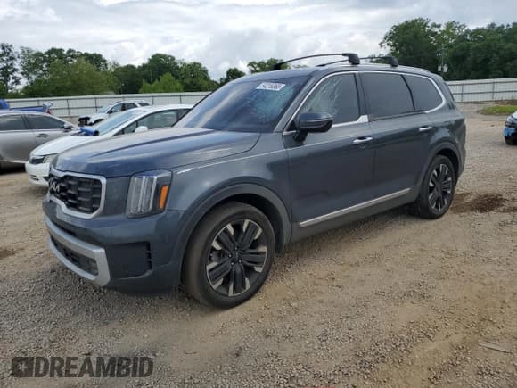 ✅ 2024 Kia Telluride SX X-Line • VIN: 5XYP5DGC0RG441576 • Лот: 54216365. Опубликован ранее на Copart с пробегом Не указан. Бесплатный доступ к архиву аукционных продаж из США и подробный отчёт об истории автомобиля на DreamBid. Изображение 1.