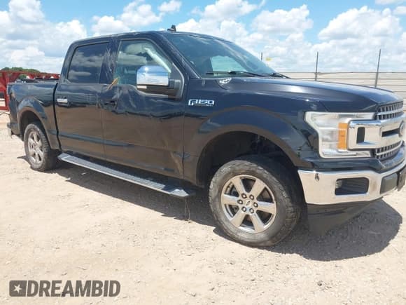 ✅ 2019 Ford F-150 XL • VIN: 1FTEW1CPXKFC01505 • Lot: 42664322. Listed on IAAI with 114,179 mi. Free auction sales archive from the USA and detailed vehicle history report at DreamBid. Image 1.