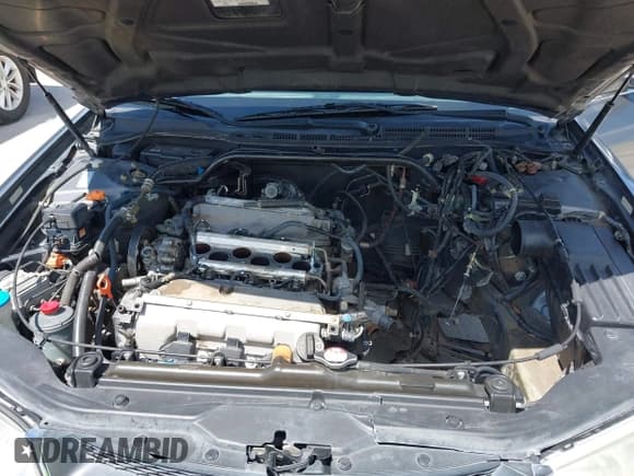 ✅ 2003 Acura TL Type S • VIN: 19UUA56803A041527 • Лот: 42740677. Опубликован ранее на IAAI с пробегом 131 278 миль. Бесплатный доступ к архиву аукционных продаж из США и подробный отчёт об истории автомобиля на DreamBid. Изображение 10.