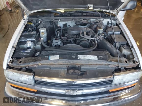 ✅ 1998 Chevrolet S-10 LS • VIN: 1GCCS19X0W8113955 • Лот: 49203155. Опубликован ранее на Copart с пробегом 117 357 миль. Бесплатный доступ к архиву аукционных продаж из США и подробный отчёт об истории автомобиля на DreamBid. Изображение 11.