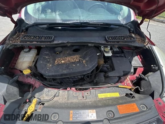 ✅ 2013 Ford Escape SE • VIN: 1FMCU9G95DUD25554 • Lot: 60899985. Wystawiony na Copart z przebiegiem Nie podano. Bezpłatny archiwum sprzedaży aukcyjnych z USA i szczegółowy raport historii pojazdu na DreamBid. Zdjęcie 7.