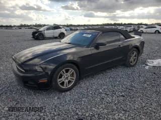 2014 Ford Mustang V6 с VIN 1ZVBP8EM4E5302090, выставлен на аукционе Copart как лот 87408335 с пробегом 127 816 миль миль и Списание • Salvage title. История ставок и продаж доступна на DreamBid. Изображение 1.