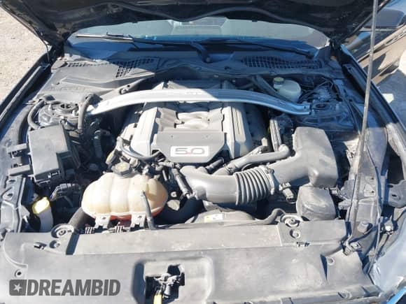 2015 Ford Mustang GT Premium with VIN 1FATP8FF1F5391017, listed as a IAAI auction lot 43528484 with 83,502 mi miles and . Bid and sale history available at DreamBid. Image 10.