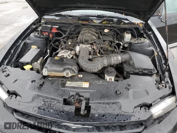 ✅ 2010 Ford Mustang V6 • VIN: 1ZVBP8AN4A5143497 • Lot: 90443165. Listed on Copart with 188,015 mi. Free auction sales archive from the USA and detailed vehicle history report at DreamBid. Image 11.