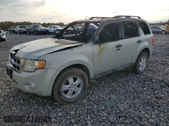 ✅ 2009 Ford Escape XLT • VIN: 1FMCU03739KC81458 • Lot: 91471125. Listed on Copart with Not provided. Free auction sales archive from the USA and detailed vehicle history report at DreamBid. Image 1.