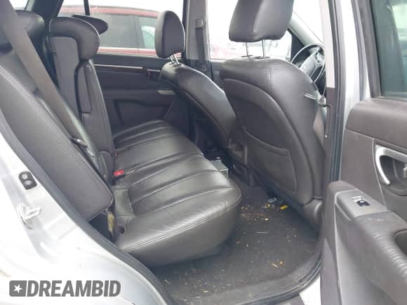 2010 Hyundai Santa Fe Limited with VIN 5NMSKDAG4AH341859, listed as a IAAI auction lot 43487646 with 169,452 mi miles and . Bid and sale history available at DreamBid. Image 8.