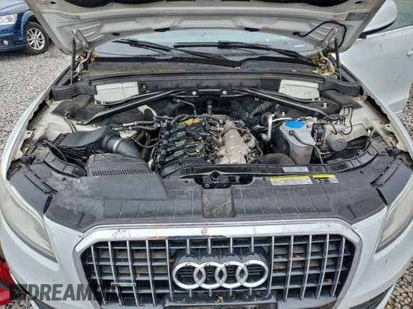 ✅ 2013 Audi Q5 Premium Plus • VIN: WA1LFAFP8DA047714 • Лот: 96782295. Опубликован ранее на Copart с пробегом 192 142 миль. Бесплатный доступ к архиву аукционных продаж из США и подробный отчёт об истории автомобиля на DreamBid. Изображение 11.