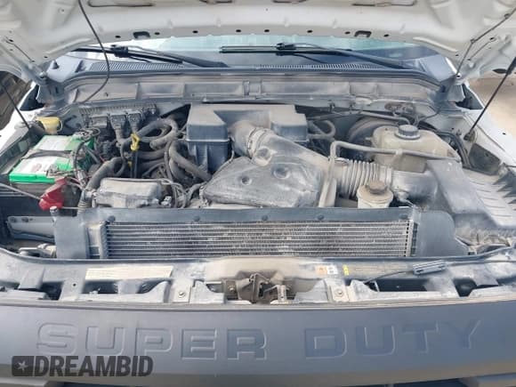 ✅ 2011 Ford F-250 XL • VIN: 1FT7X2B60BEA52497 • Lot: 42223000. Listed on IAAI with 231,094 mi. Free auction sales archive from the USA and detailed vehicle history report at DreamBid. Image 10.