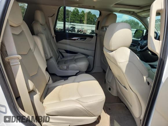 ✅ 2020 Cadillac Escalade Luxury • VIN: 1GYS3BKJ9LR163029 • Lot: 71188155. Listed on Copart with 89,113 mi. Free auction sales archive from the USA and detailed vehicle history report at DreamBid. Image 11.