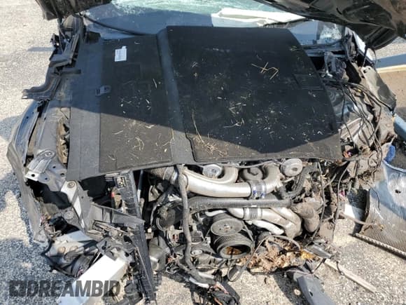 ✅ 2018 Audi RS 5 • VIN: WUAPWAF5XJA903051 • Lot: 58961315. Listed on Copart with Not provided. Free auction sales archive from the USA and detailed vehicle history report at DreamBid. Image 11.