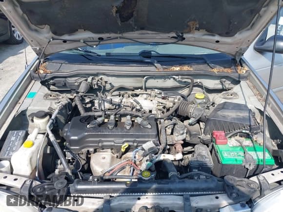 ✅ 2000 Nissan Sentra XE • VIN: 3N1CB51DXYL352557 • Lot: 42568873. Listed on IAAI with 162,299 mi. Free auction sales archive from the USA and detailed vehicle history report at DreamBid. Image 10.