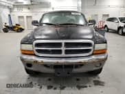 ✅ 2003 Dodge Dakota SLT • VIN: 1D7HG48N43S328722 • Lot: 81803364. Wystawiony na Copart z przebiegiem Nie podano. Bezpłatny archiwum sprzedaży aukcyjnych z USA i szczegółowy raport historii pojazdu na DreamBid. Zdjęcie 5.