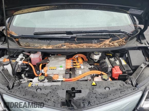 ✅ 2019 Chevrolet Bolt EV LT • VIN: 1G1FY6S04K4111500 • Lot: 71295084. Wystawiony na Copart z przebiegiem 60 950 mil. Bezpłatny archiwum sprzedaży aukcyjnych z USA i szczegółowy raport historii pojazdu na DreamBid. Zdjęcie 11.