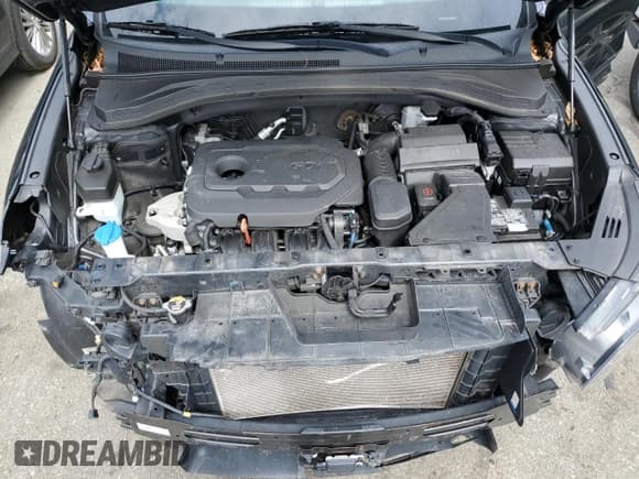 ✅ 2019 Hyundai Santa Fe SE • VIN: 5NMS2CAD6KH076640 • Lot: 47407493. Wystawiony na Copart z przebiegiem 49 011 mil. Bezpłatny archiwum sprzedaży aukcyjnych z USA i szczegółowy raport historii pojazdu na DreamBid. Zdjęcie 12.