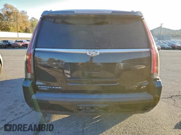 ✅ 2015 Cadillac Escalade Platinum • VIN: 1GYS3PKJ7FR664311 • Lot: 95120325. Listed on Copart with Not provided. Free auction sales archive from the USA and detailed vehicle history report at DreamBid. Image 6.