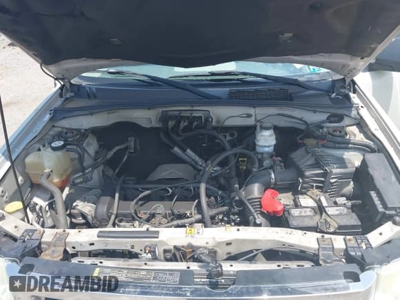 ✅ 2008 Ford Escape XLS • VIN: 1FMCU92Z98KB27360 • Lot: 42821934. Wystawiony na IAAI z przebiegiem 168 647 mil. Bezpłatny archiwum sprzedaży aukcyjnych z USA i szczegółowy raport historii pojazdu na DreamBid. Zdjęcie 10.