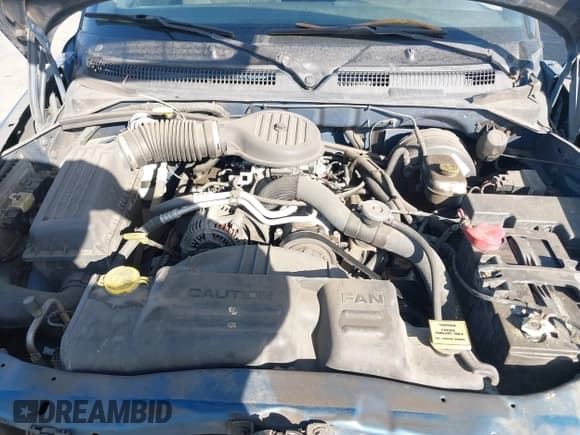 ✅ 2003 Dodge Dakota • VIN: 1D7HL12X13S247181 • Lot: 41692845. Wystawiony na IAAI z przebiegiem 94 389 mil. Bezpłatny archiwum sprzedaży aukcyjnych z USA i szczegółowy raport historii pojazdu na DreamBid. Zdjęcie 10.