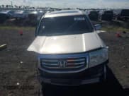 ✅ 2012 Honda Pilot EX-L • VIN: 5FNYF4H59CB046795 • Lot: 93611435. Wystawiony na Copart z przebiegiem 190 270 mil. Bezpłatny archiwum sprzedaży aukcyjnych z USA i szczegółowy raport historii pojazdu na DreamBid. Zdjęcie 5.