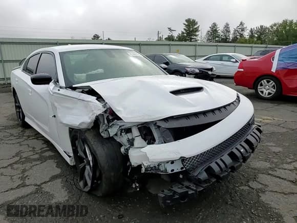 ✅ 2023 Dodge Charger R/T • VIN: 2C3CDXCT8PH516696 • Lot: 81466165. Listed on Copart with 55,781 mi. Free auction sales archive from the USA and detailed vehicle history report at DreamBid. Image 13.