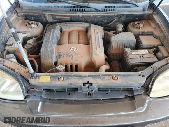 ✅ 2005 Hyundai Santa Fe GLS • VIN: KM8SC13D75U941316 • Lot: 66768425. Listed on Copart with 284,102 mi. Free auction sales archive from the USA and detailed vehicle history report at DreamBid. Image 12.