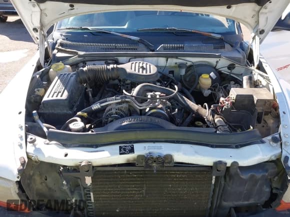 ✅ 1997 Dodge Dakota • VIN: 1B7GL23Y6VS207961 • Lot: 43703708. Wystawiony na IAAI z przebiegiem 297 431 mil. Bezpłatny archiwum sprzedaży aukcyjnych z USA i szczegółowy raport historii pojazdu na DreamBid. Zdjęcie 10.