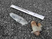 ✅ 2009 Dodge 1500 SLT • VIN: 1D3HV18T49S820146 • Lot: 57159035. Wystawiony na Copart z przebiegiem 318 593 mil. Bezpłatny archiwum sprzedaży aukcyjnych z USA i szczegółowy raport historii pojazdu na DreamBid. Zdjęcie 12.