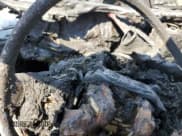 ✅ 2022 Mitsubishi Eclipse Cross LE • VIN: JA4ASVAA6NZ002903 • Lot: 68739974. Listed on Copart with Not provided. Free auction sales archive from the USA and detailed vehicle history report at DreamBid. Image 9.