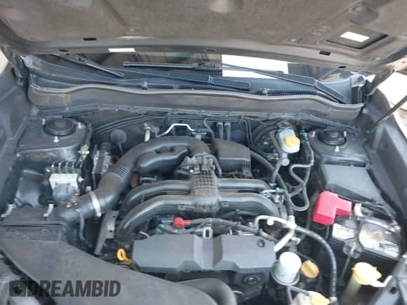 2015 Subaru Forester Limited with VIN JF2SJAHC7FH558594, listed as a IAAI auction lot 43214085 with 184,682 mi miles and . Bid and sale history available at DreamBid. Image 10.