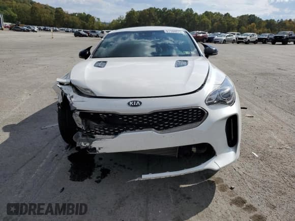 ✅ 2020 Kia Stinger GT-Line • VIN: KNAE15LA1L6074272 • Lot: 81166075. Wystawiony na Copart z przebiegiem 60 296 mil. Bezpłatny archiwum sprzedaży aukcyjnych z USA i szczegółowy raport historii pojazdu na DreamBid. Zdjęcie 5.
