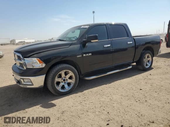 2009 Dodge 1500 SLT с VIN 1D3HB13T79J505668, выставлен на аукционе Copart как лот 73995124 с пробегом 152 726 миль миль и Списание • Salvage title. История ставок и продаж доступна на DreamBid. Изображение 1.