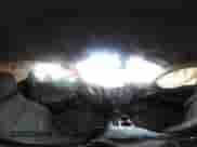 2017 Chevrolet Malibu LS с VIN 1G1ZB5ST1HF221503, выставлен на аукционе IAAI как лот 43273697 с пробегом 110 534 миль миль и . История ставок и продаж доступна на DreamBid. Изображение 19.