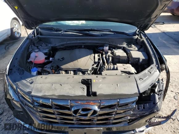 ✅ 2022 Hyundai Tucson Limited • VIN: 5NMJECAEXNH009894 • Lot: 46011193. Wystawiony na Copart z przebiegiem 22 142 mil. Bezpłatny archiwum sprzedaży aukcyjnych z USA i szczegółowy raport historii pojazdu na DreamBid. Zdjęcie 12.