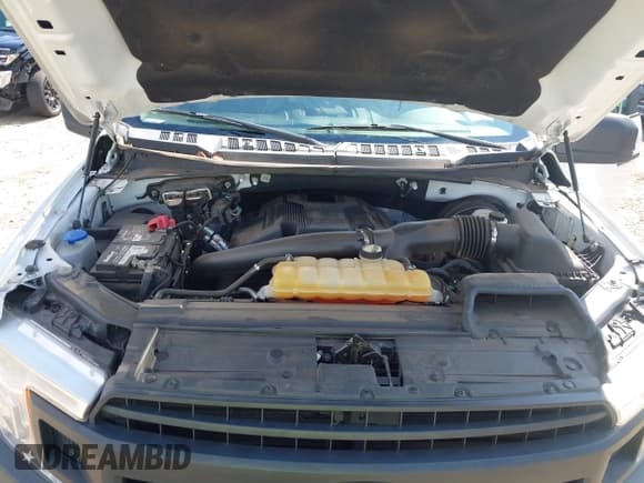 ✅ 2018 Ford F-150 XL • VIN: 1FTEX1CG8JFA48702 • Lot: 42877550. Wystawiony na IAAI z przebiegiem 151 367 mil. Bezpłatny archiwum sprzedaży aukcyjnych z USA i szczegółowy raport historii pojazdu na DreamBid. Zdjęcie 10.