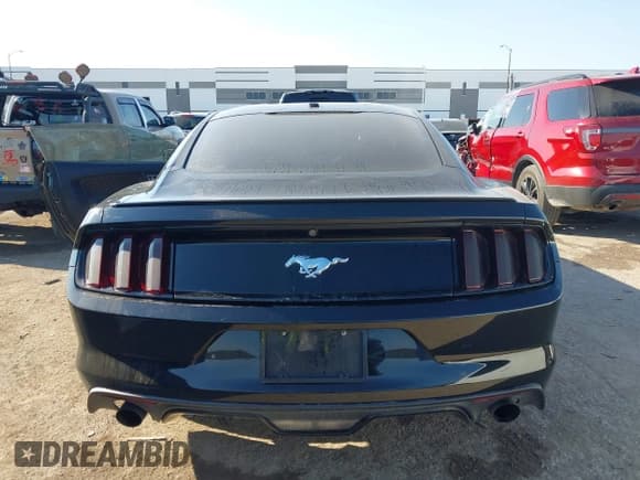 ✅ 2016 Ford Mustang EcoBoost • VIN: 1FA6P8TH7G5281531 • Lot: 43334626. Listed on IAAI with 136,026 mi. Free auction sales archive from the USA and detailed vehicle history report at DreamBid. Image 16.