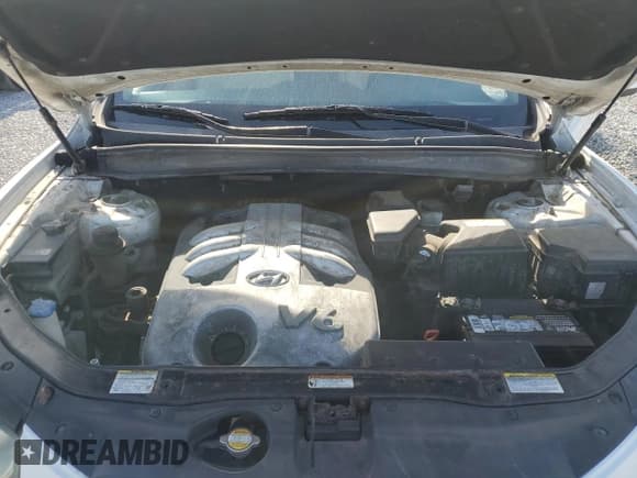 ✅ 2007 Hyundai Santa Fe SE • VIN: 5NMSH13EX7H047903 • Lot: 84261274. Listed on Copart with 219,062 mi. Free auction sales archive from the USA and detailed vehicle history report at DreamBid. Image 12.