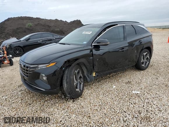 ✅ 2024 Hyundai Tucson Limited • VIN: 5NMJE3DE1RH311205 • Lot: 55331264. Wystawiony na Copart z przebiegiem 4 807 mil. Bezpłatny archiwum sprzedaży aukcyjnych z USA i szczegółowy raport historii pojazdu na DreamBid. Zdjęcie 1.